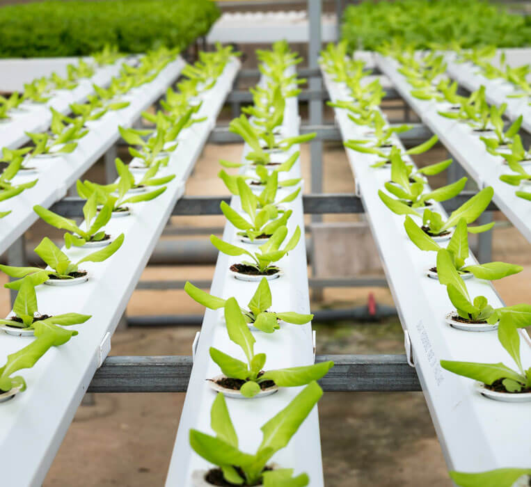 agriculture iot solutions agriculture iot solutions
