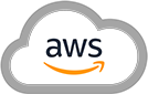 AWS Cloud