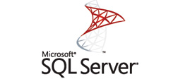 MS SQL Databases