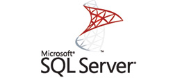 Microsoft SQL Server