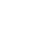 Report or Purchase Order Display